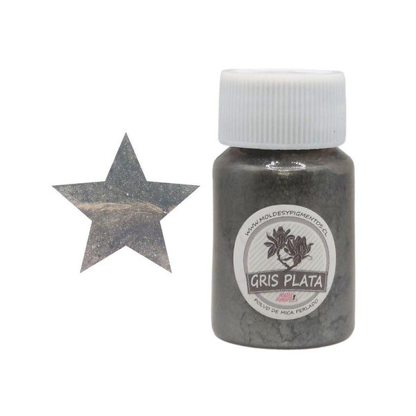 Pigmento Polvo de Mica Perlado Color Gris Plata Para Resina Epóxica - Moldesypigmentos.cl